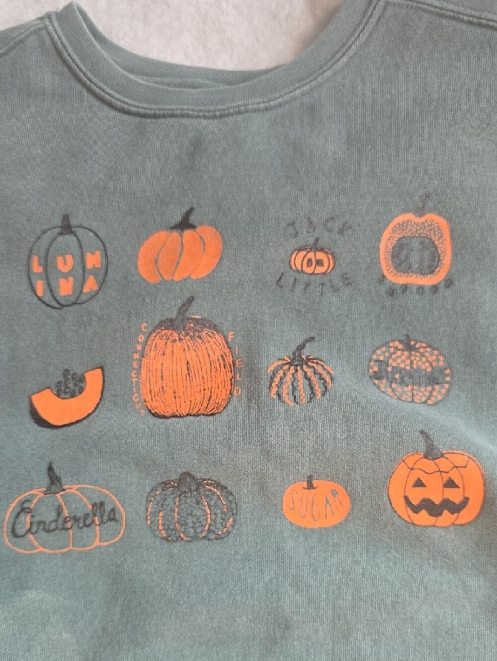 Comfort Colors Etsy Handmade Pumpkin Patch Graphic Sweatshirt - Teal & Orange
